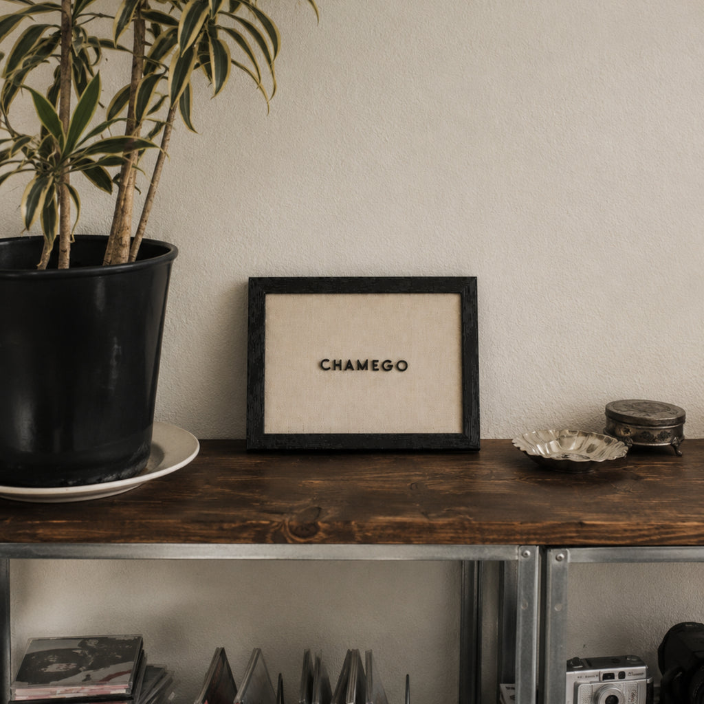 Chamego | Quadro com Letras 3D