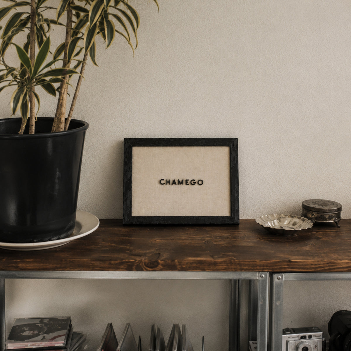 Chamego | Quadro com Letras 3D